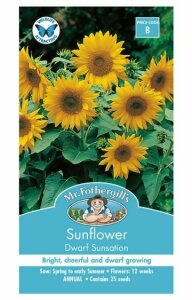 Sunflower Dwarf Sunsation Seeds